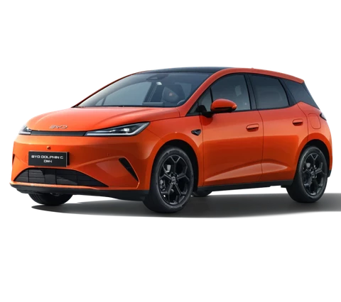 BYD DOLPHIN G 